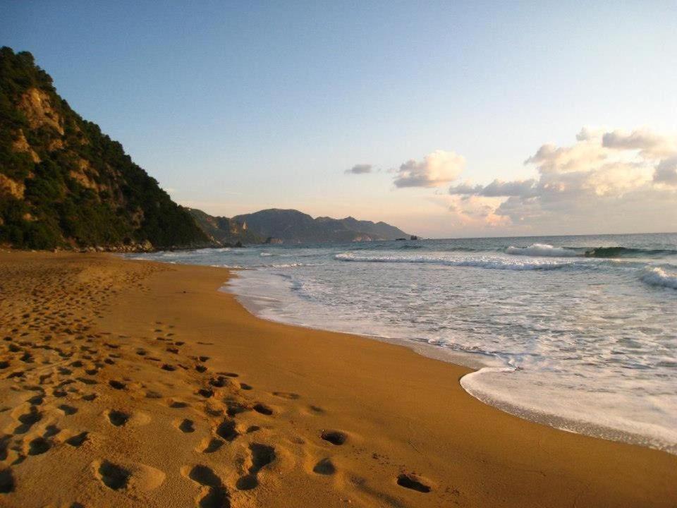 Alexandras On The Beach And Pool Apt Γλυφάδα Εξωτερικό φωτογραφία